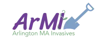 ArMI logo